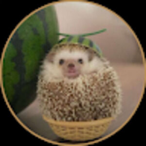 Meet your Posher, Caoimhe